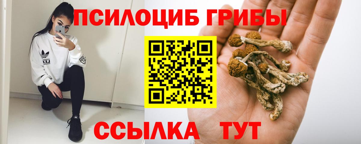 Красногорск  Галлюциногенные грибы Cubensis  Вход с VPN 